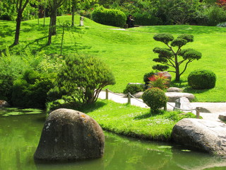 Création de jardin Japonais